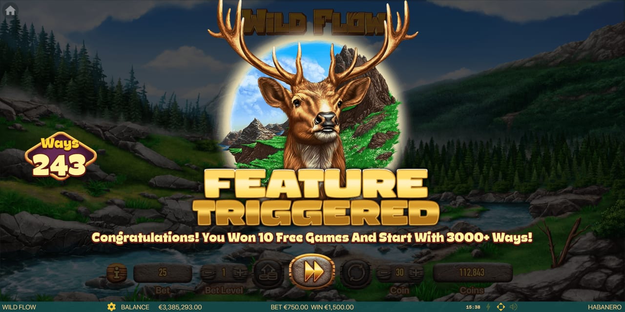 Wild Flow — Скріншоти з гри 3 | GamblingShot